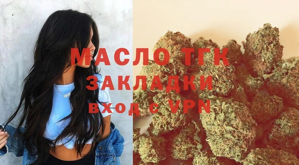 сатива Аркадак