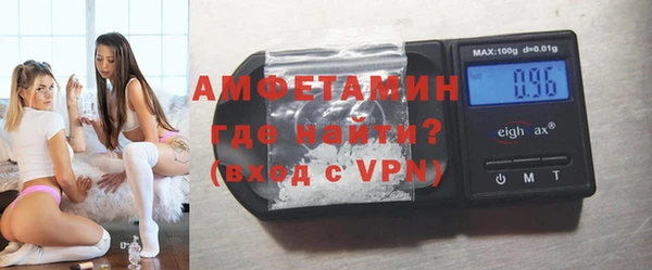 сатива Аркадак