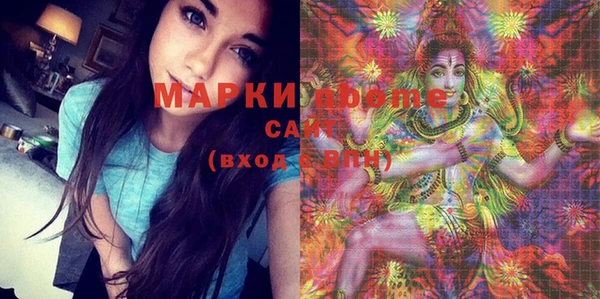 сатива Аркадак