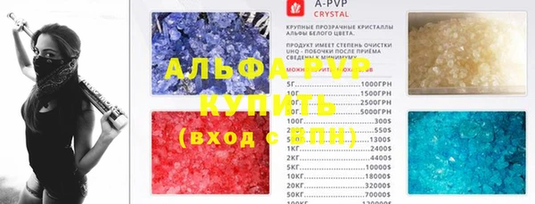 сатива Аркадак